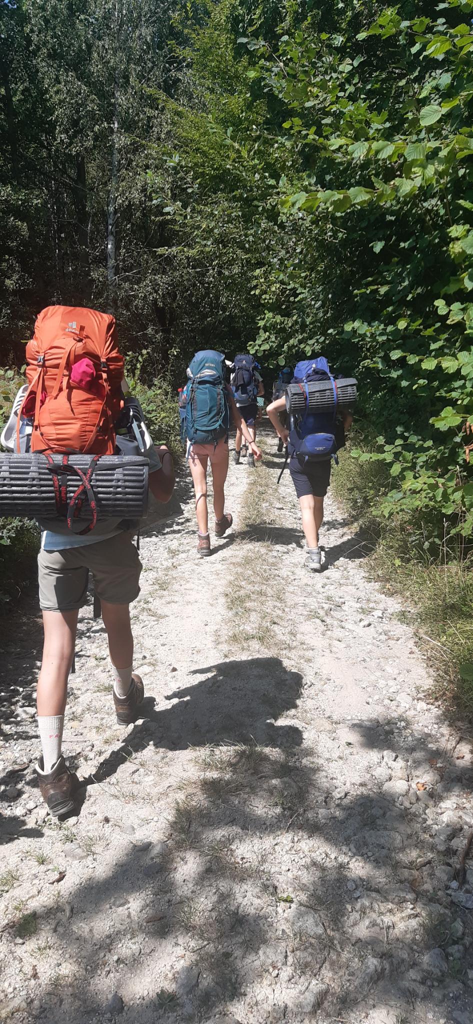 signal-2024-08-04-13-52-08-440-18