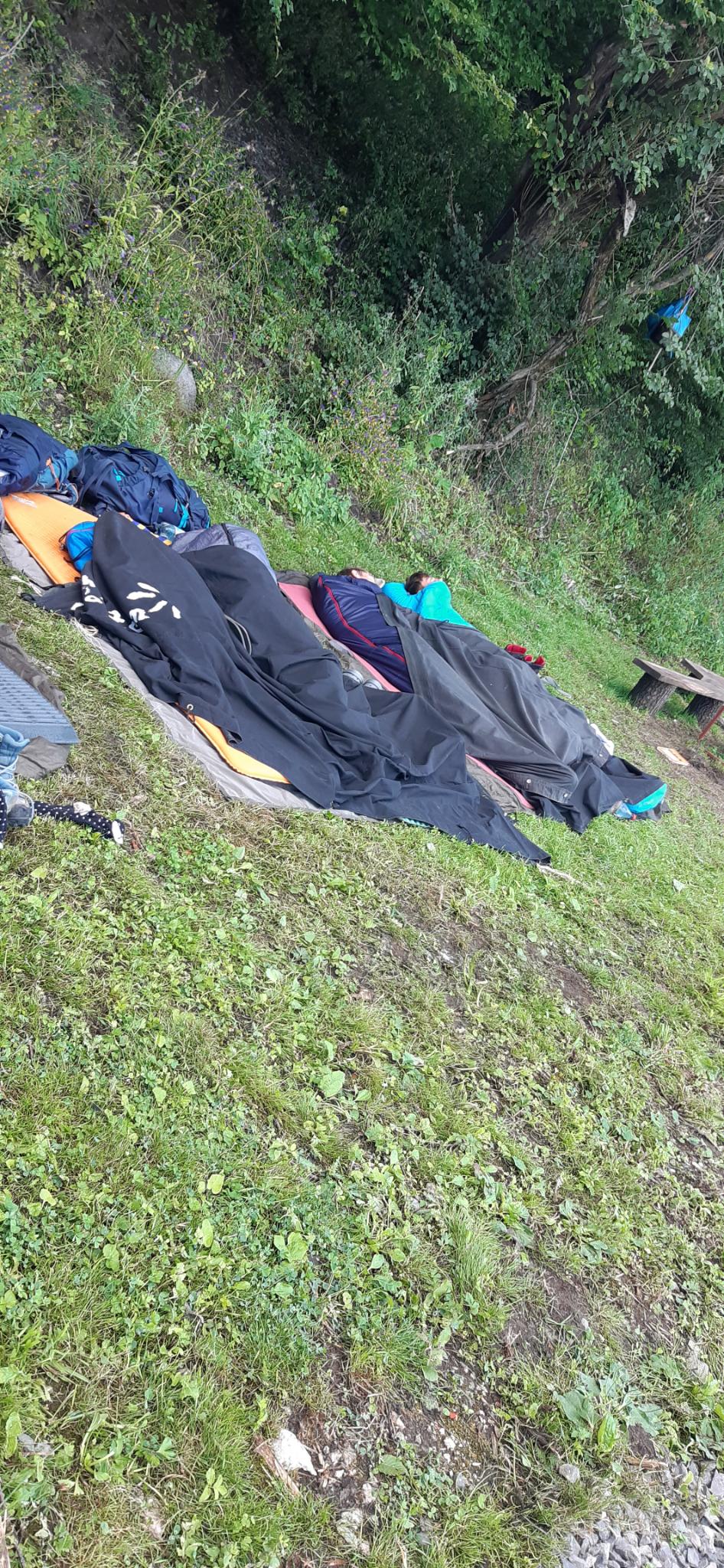 signal-2024-08-04-13-52-08-440