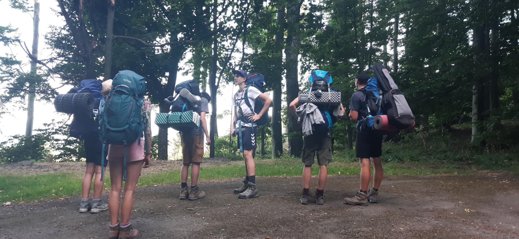 signal-2024-08-04-13-54-11-735-8