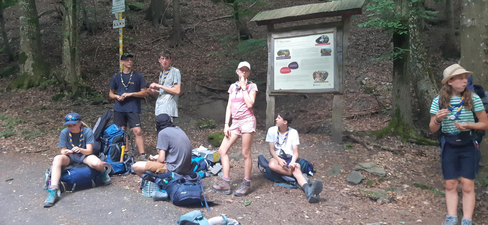 signal-2024-08-04-13-54-51-483-1